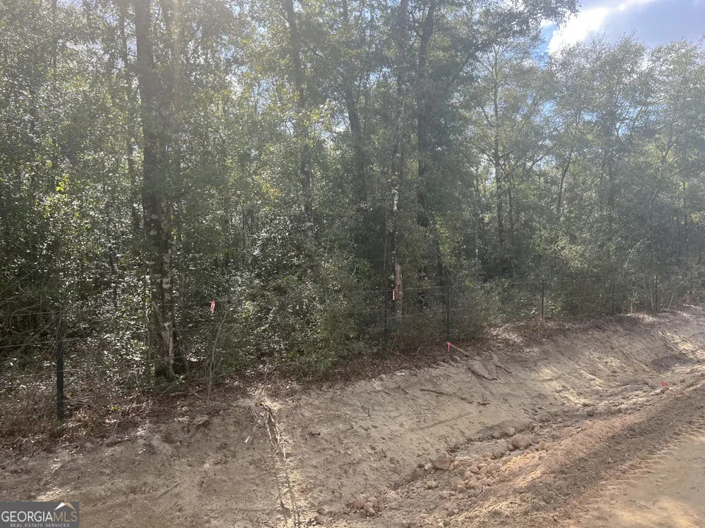837 Bluff RD Jesup, GA 31545
