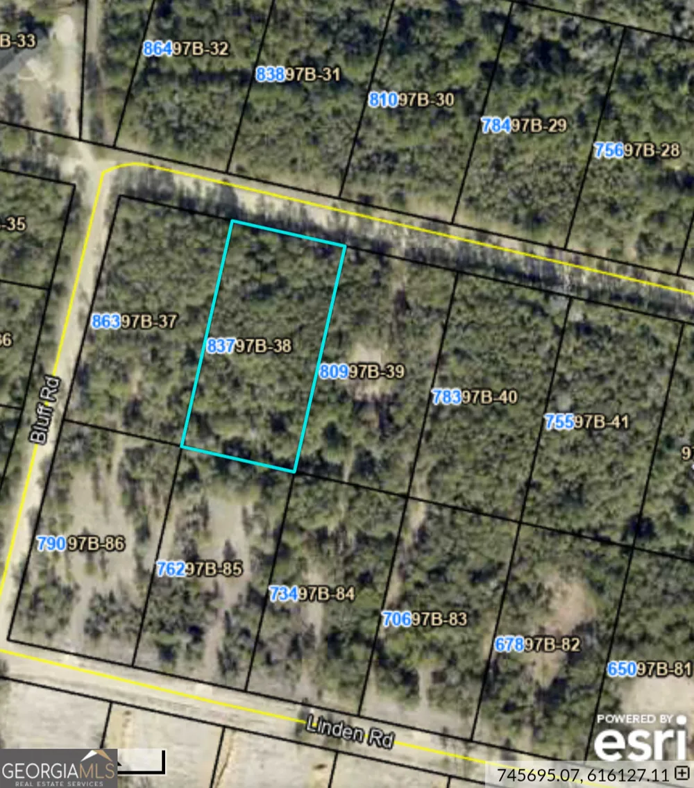 837 Bluff RD Jesup, GA 31545