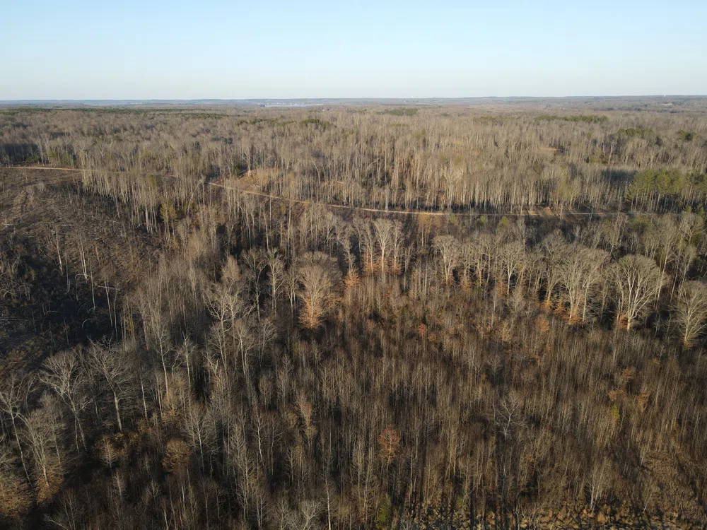 0 Copper Spring Road Springville, TN 38256