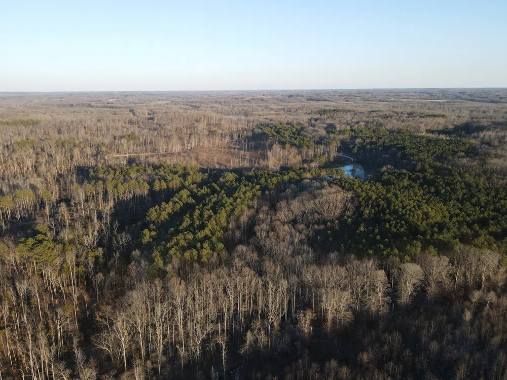 0 Copper Spring Road Springville, TN 38256