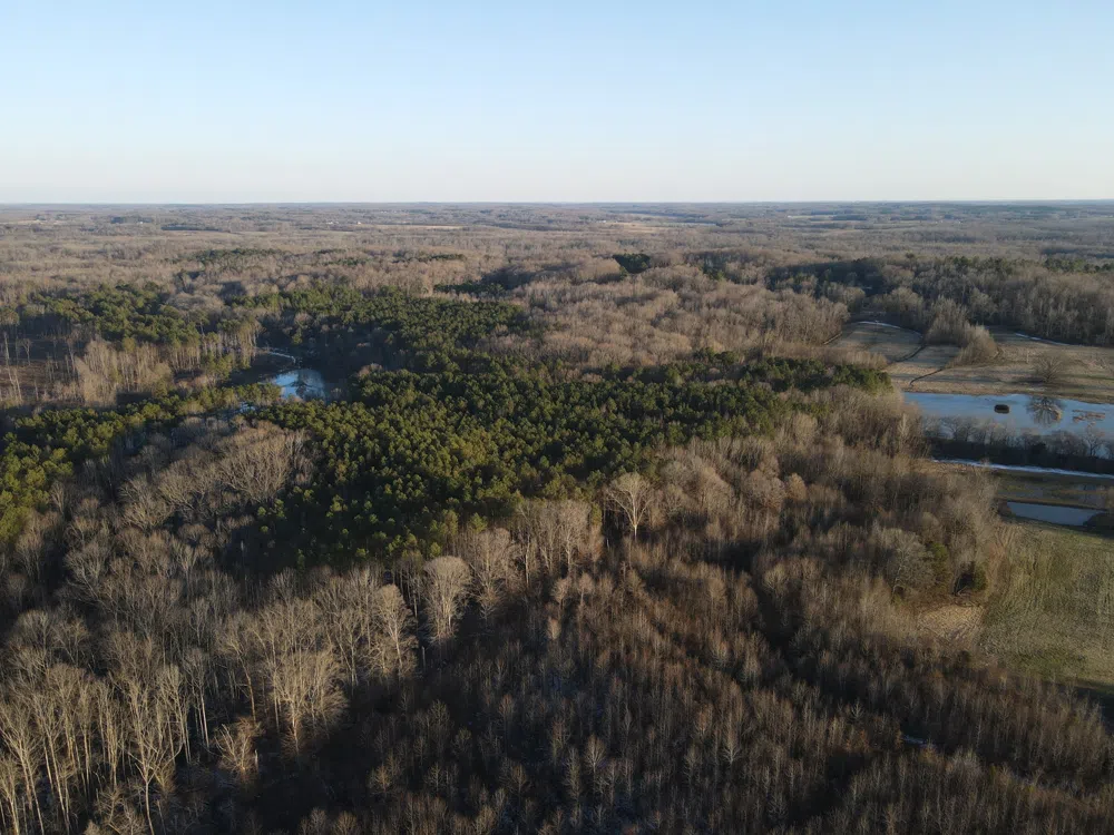 0 Copper Spring Road Springville, TN 38256