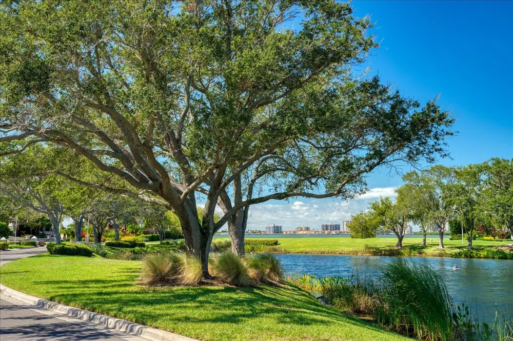 ST ANDREWS DRIVE Belleair, FL 33756