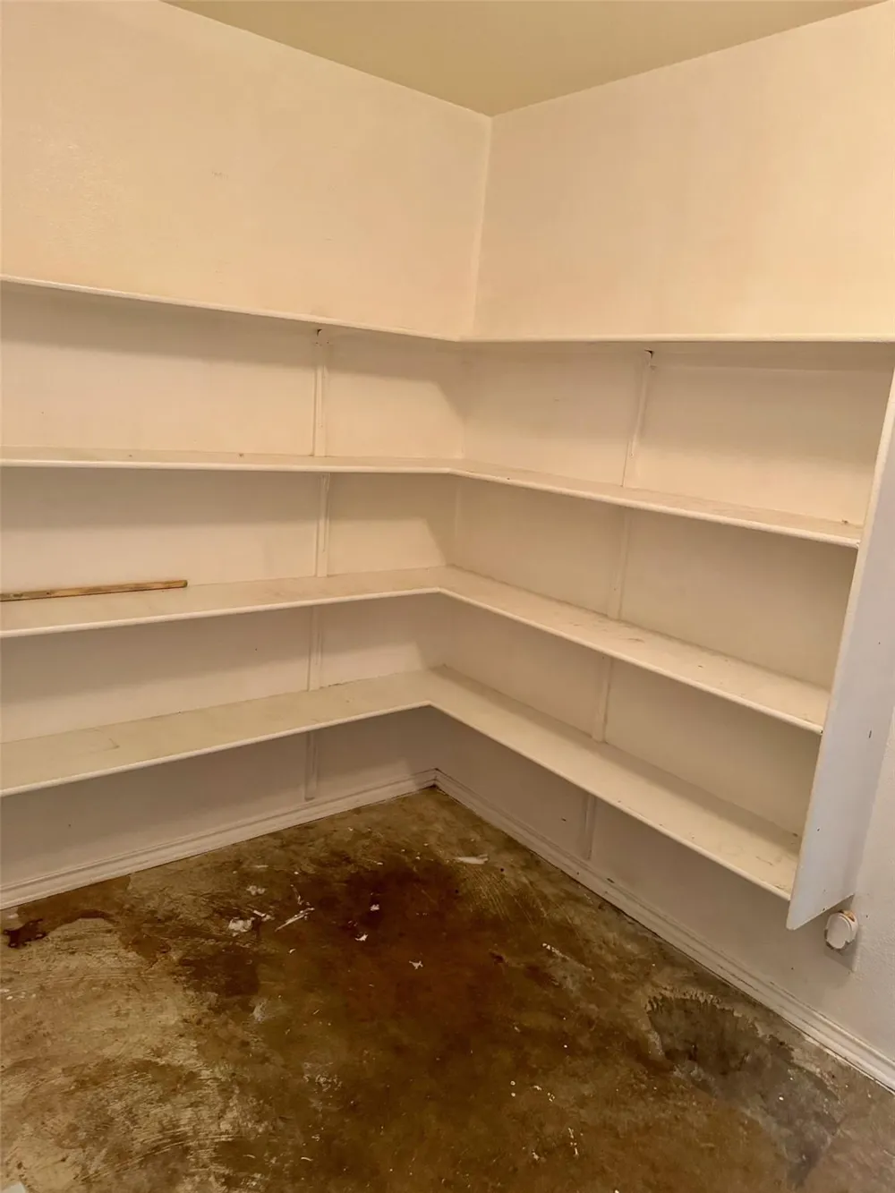 8510 Whitebrush Converse, TX 78109
