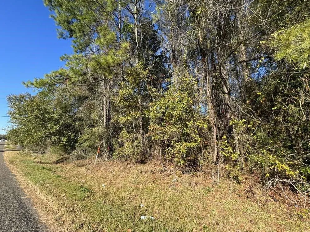 Caney Creek Vidor, TX 77662