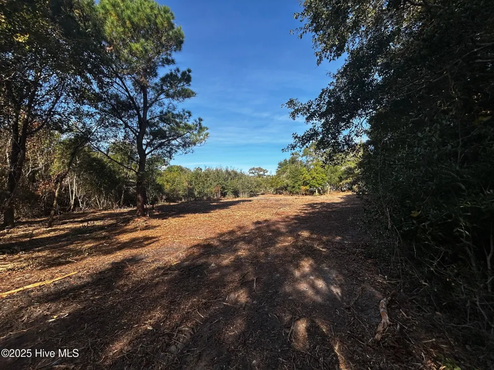 110 Brandon Avenue Hubert, NC 28539