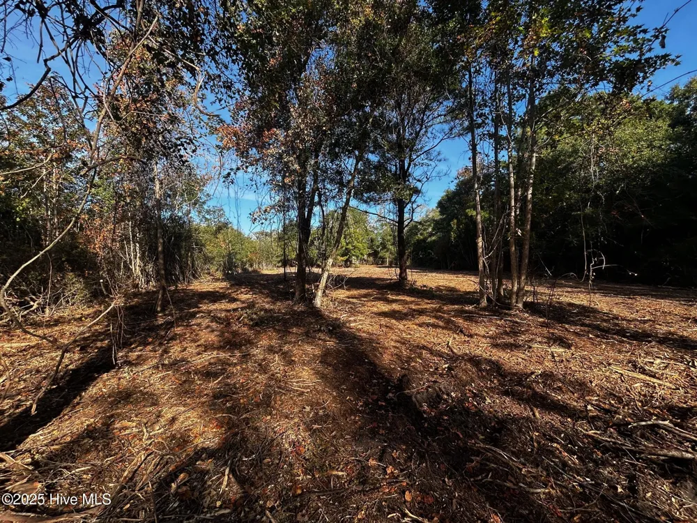110 Brandon Avenue Hubert, NC 28539