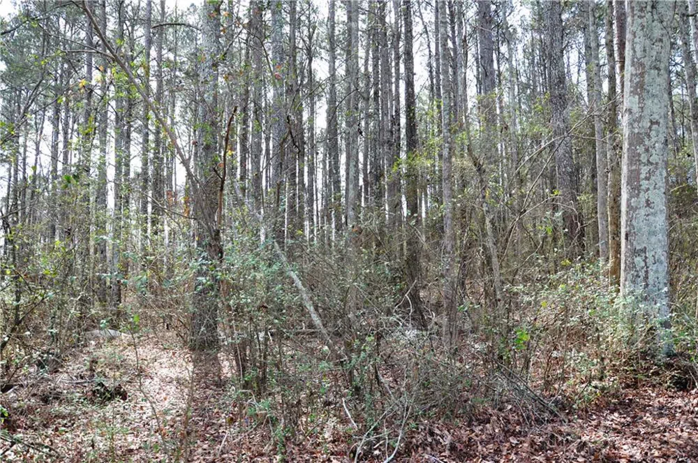0 Monroe Highway Bethlehem, GA 30620
