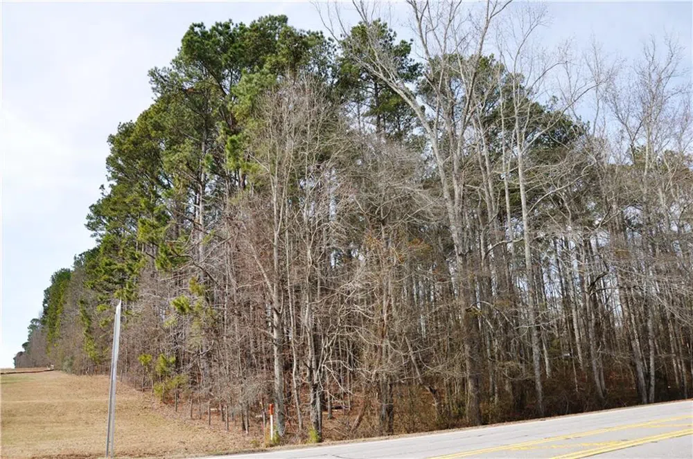 0 Monroe Highway Bethlehem, GA 30620