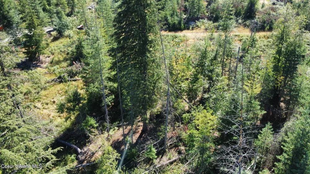 111 Trail Blazer Court Pinehurst, ID 83850