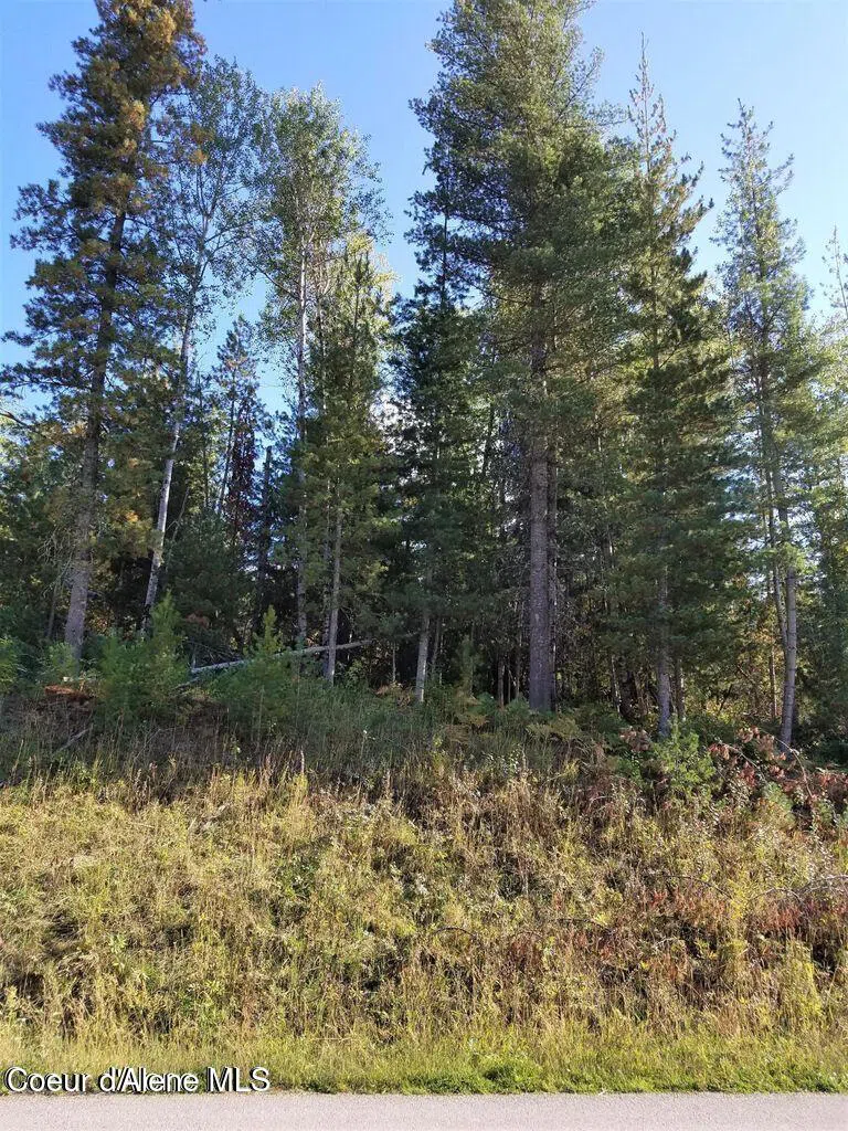 111 Trail Blazer Court Pinehurst, ID 83850