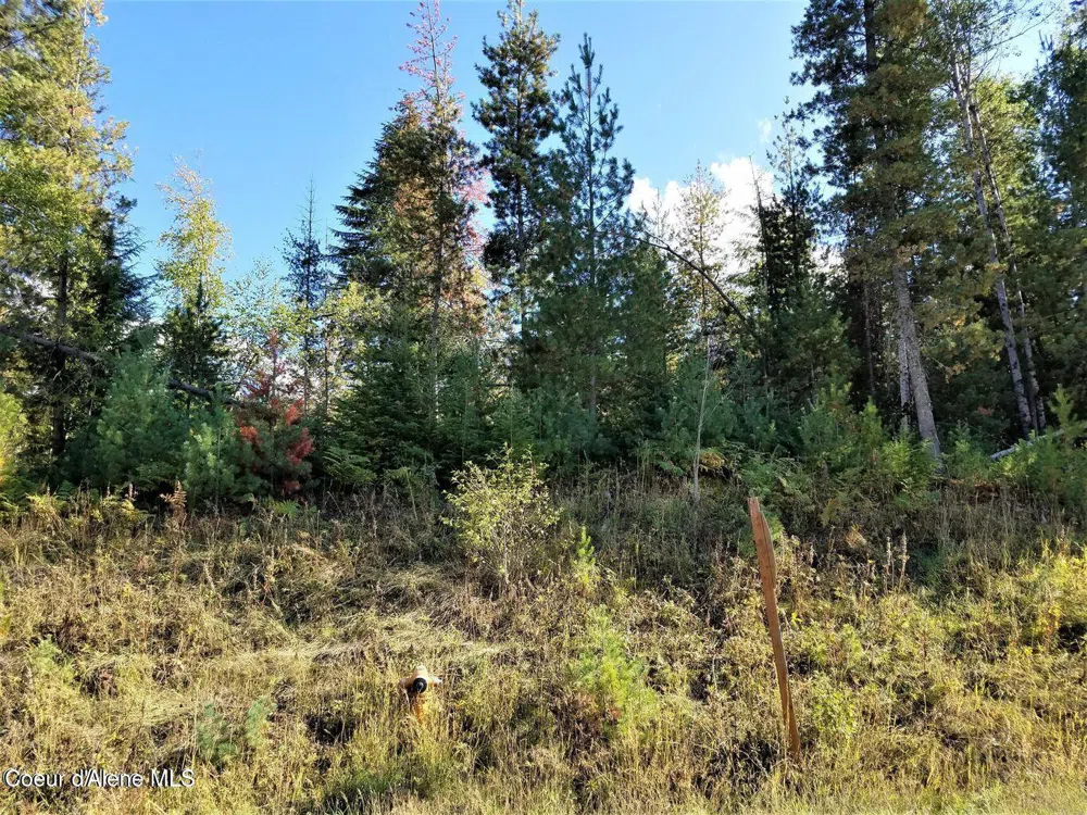 111 Trail Blazer Court Pinehurst, ID 83850