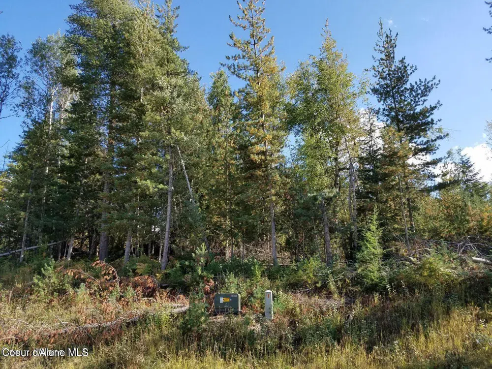 113 Trail Blazer Court Pinehurst, ID 83850