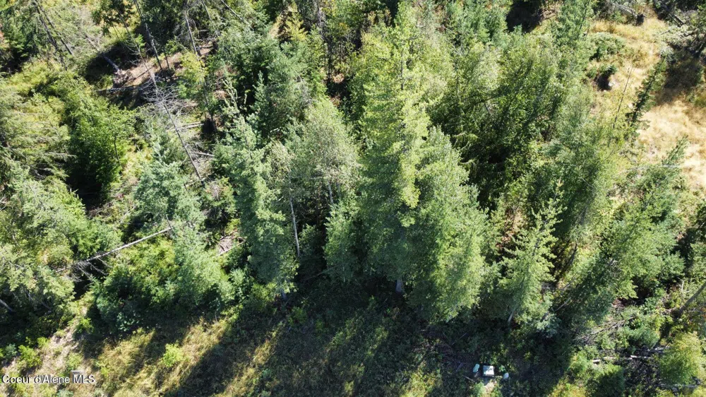 113 Trail Blazer Court Pinehurst, ID 83850