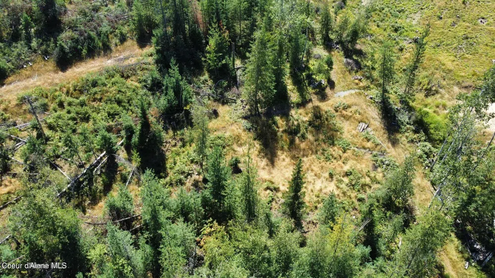 113 Trail Blazer Court Pinehurst, ID 83850