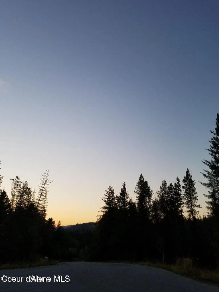 113 Trail Blazer Court Pinehurst, ID 83850