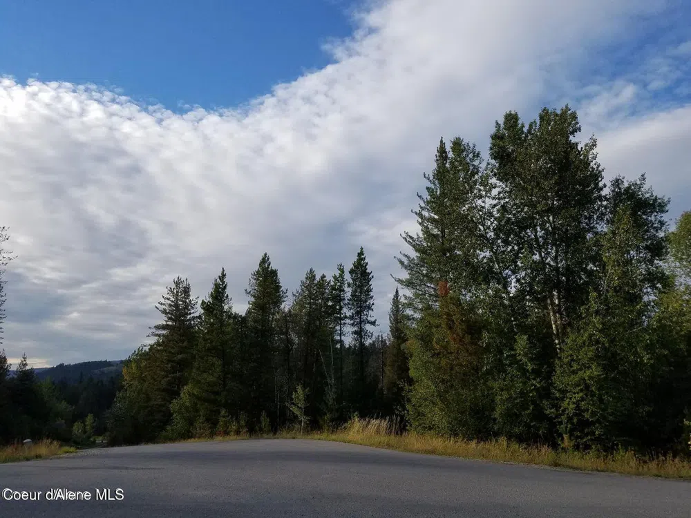 113 Trail Blazer Court Pinehurst, ID 83850