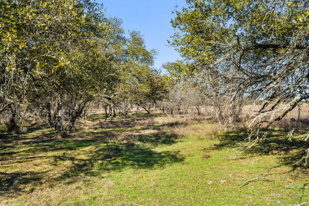1422 RM 2766 Johnson City, TX 78636