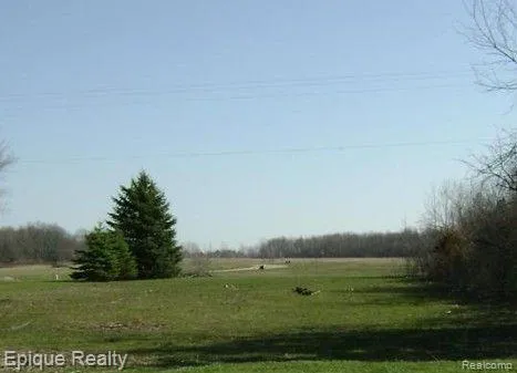 Potter