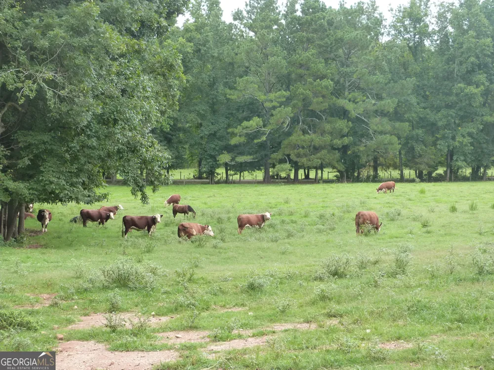1650 & 1620 Locklin Cemetery RD Monroe, GA 30656