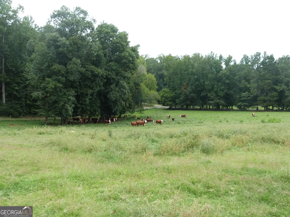1650 & 1620 Locklin Cemetery RD Monroe, GA 30656