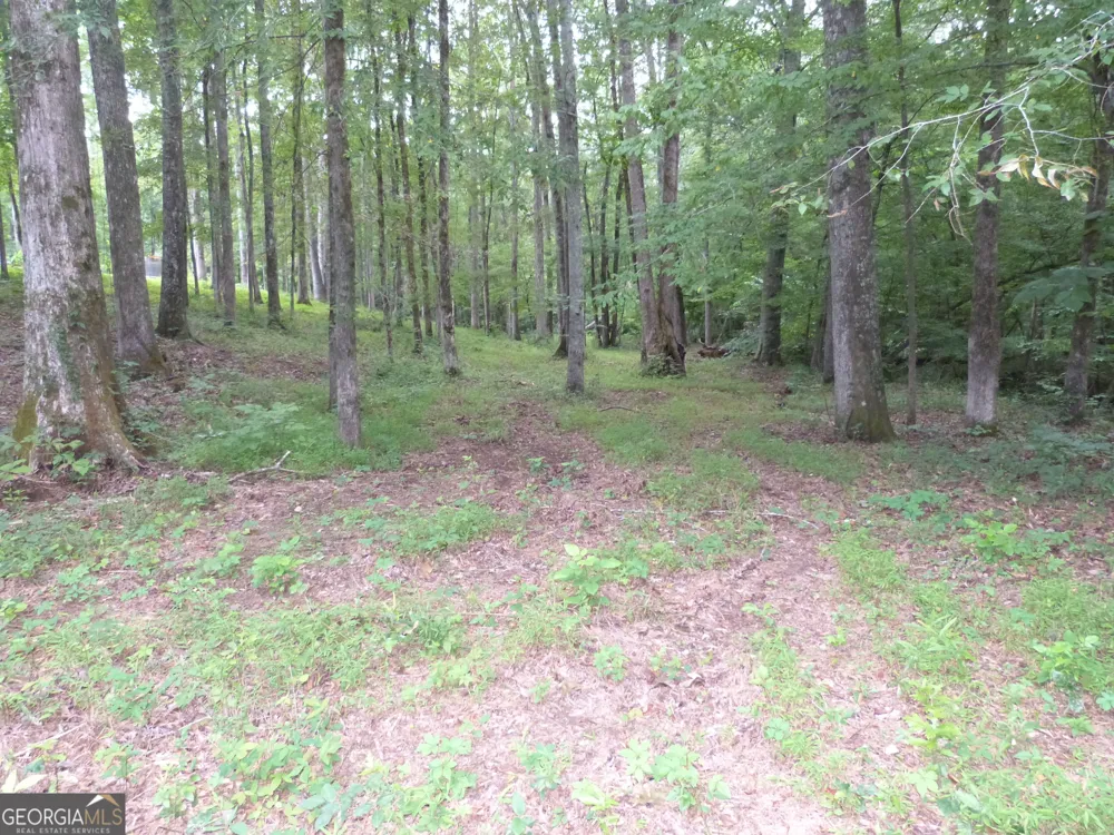 1650 & 1620 Locklin Cemetery RD Monroe, GA 30656