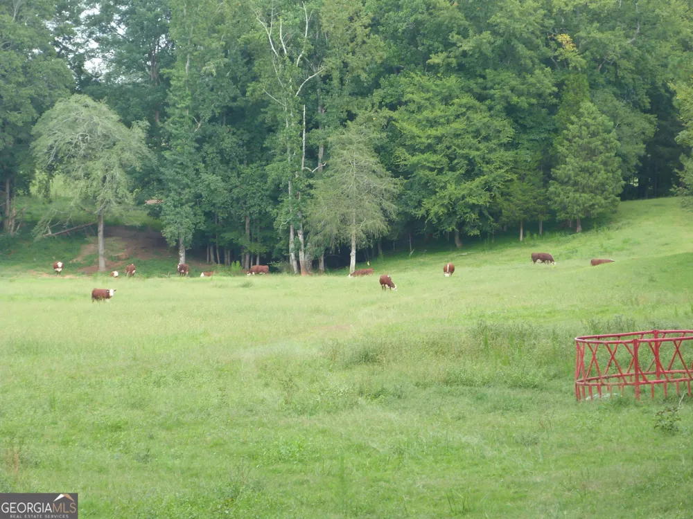 1650 & 1620 Locklin Cemetery RD Monroe, GA 30656