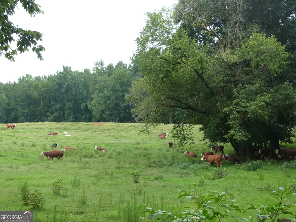 1650 & 1620 Locklin Cemetery RD Monroe, GA 30656