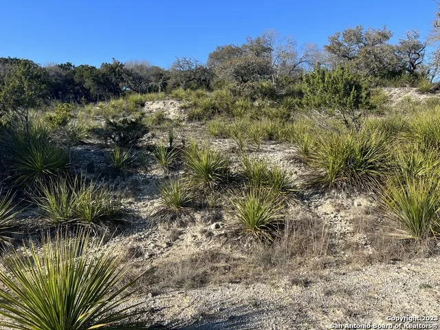 215 Palomino Springs Bandera, TX 78003