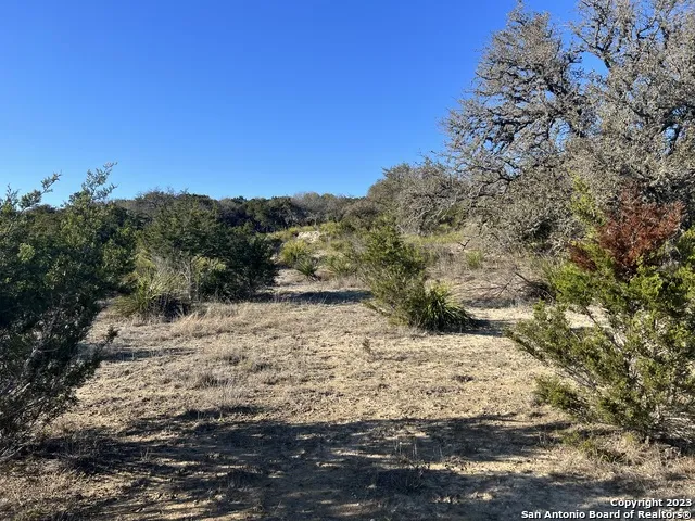 215 Palomino Springs Bandera, TX 78003
