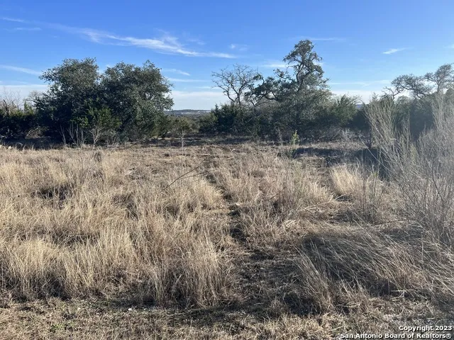 215 Palomino Springs Bandera, TX 78003