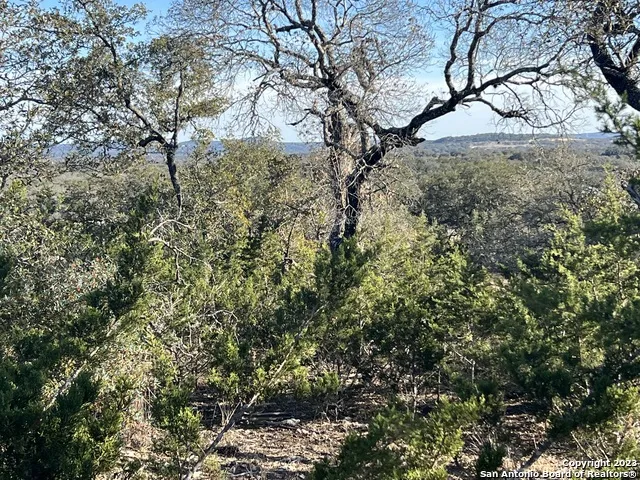 215 Palomino Springs Bandera, TX 78003