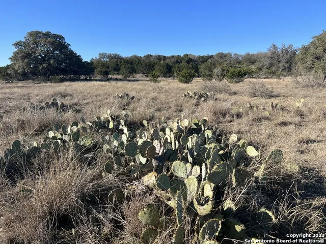 219 Highgate Dr Bandera, TX 78003