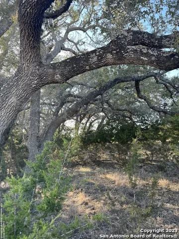 219 Highgate Dr Bandera, TX 78003