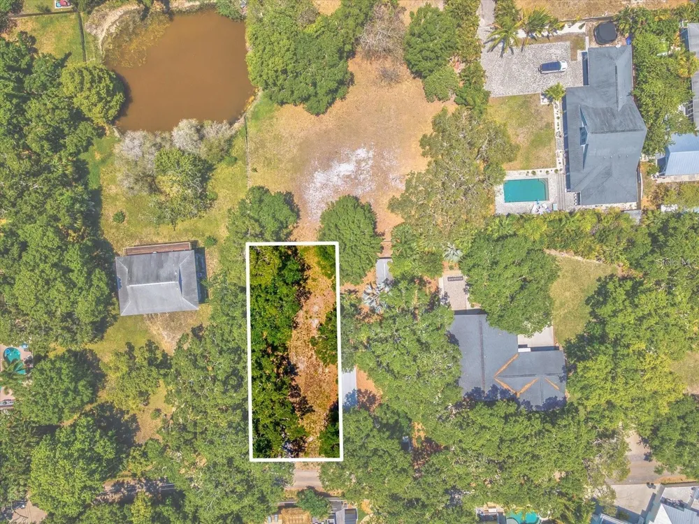 428 LEMON STREET Palm Harbor, FL 34683