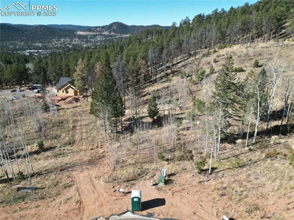1360 Blue Haven Place Woodland Park, CO 80863