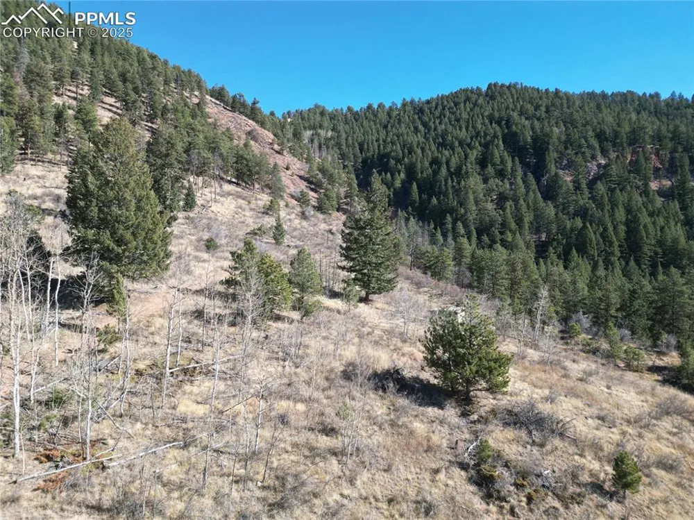 1375 Blue Haven Place Woodland Park, CO 80863