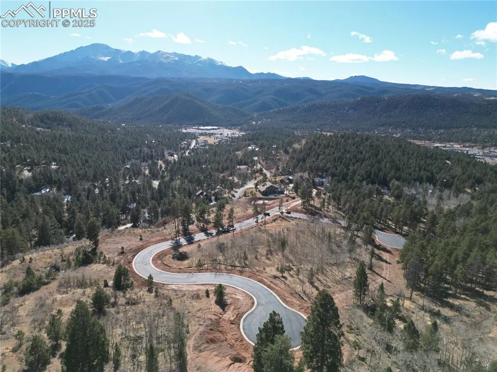 1370 Blue Haven Place Woodland Park, CO 80863