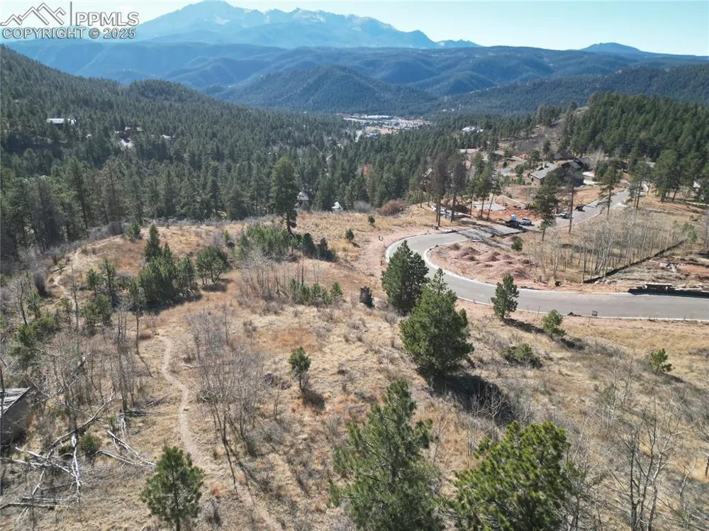 1365 Blue Haven Place Woodland Park, CO 80863