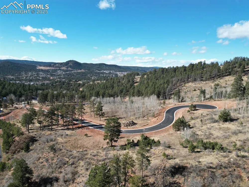1365 Blue Haven Place Woodland Park, CO 80863