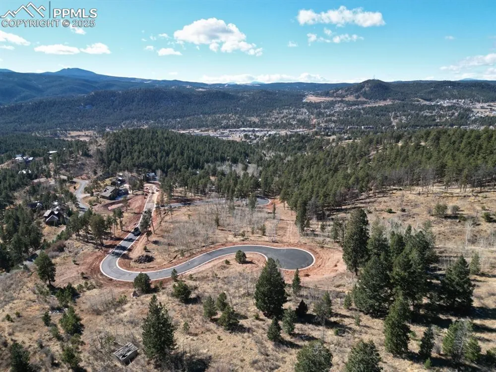 1365 Blue Haven Place Woodland Park, CO 80863