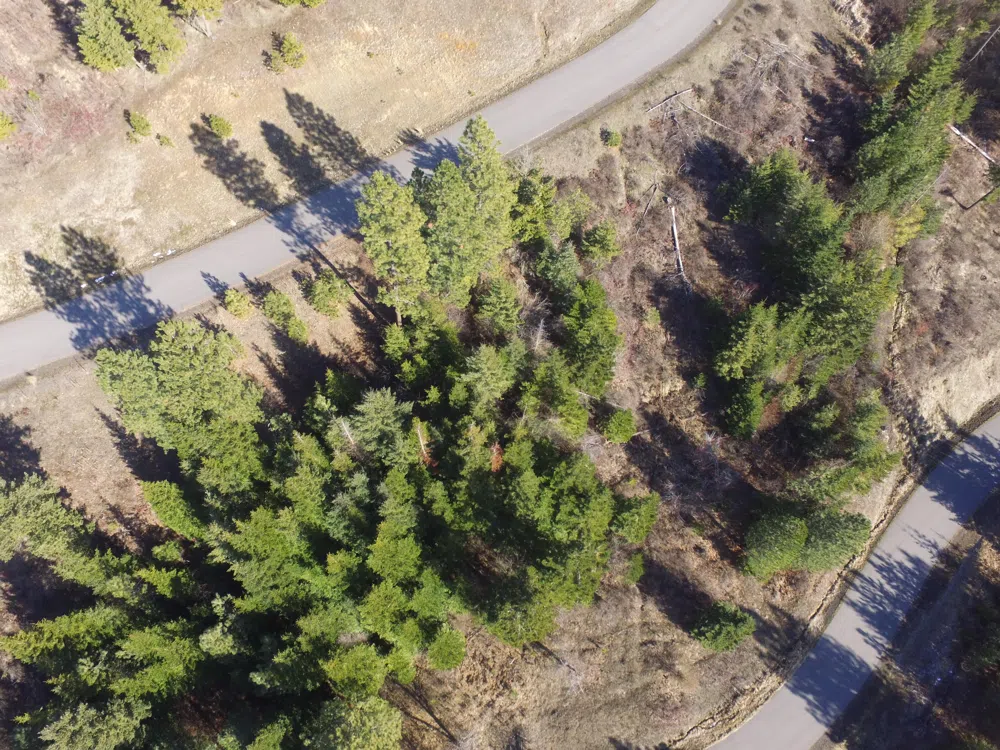 L135 E Echo Canyon Ct Harrison, ID 83833