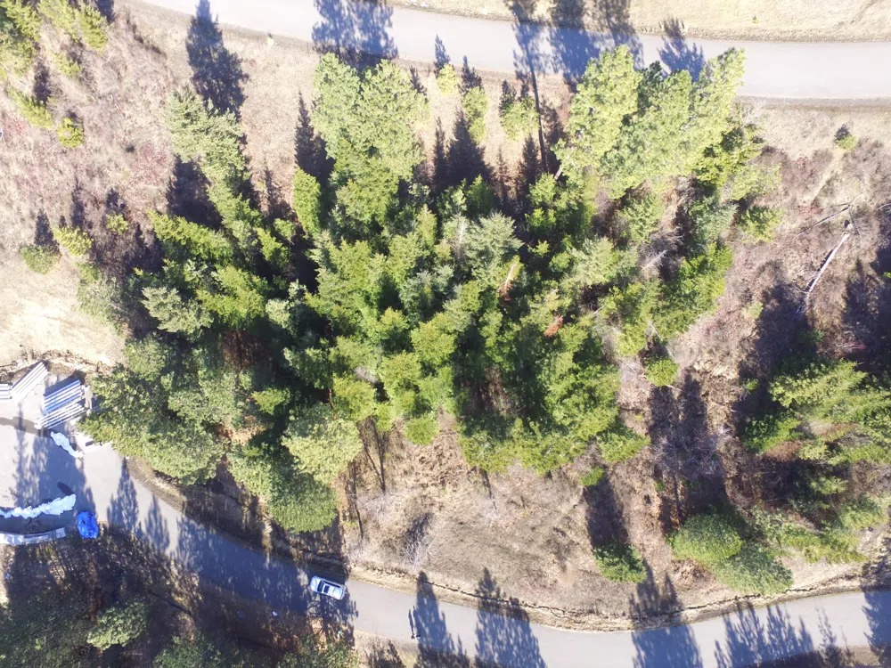 L135 E Echo Canyon Ct Harrison, ID 83833