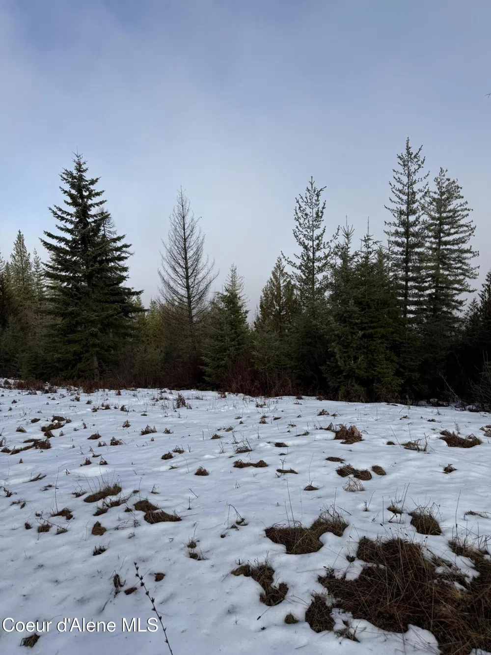 11 & 13 Kingston Way Kingston, ID 83839