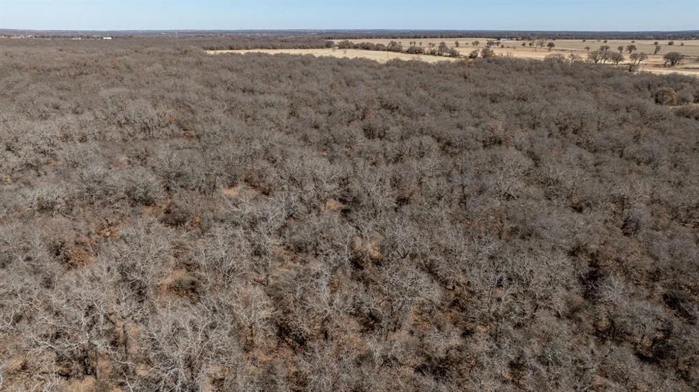 County Road 380 Rising Star, TX 76471