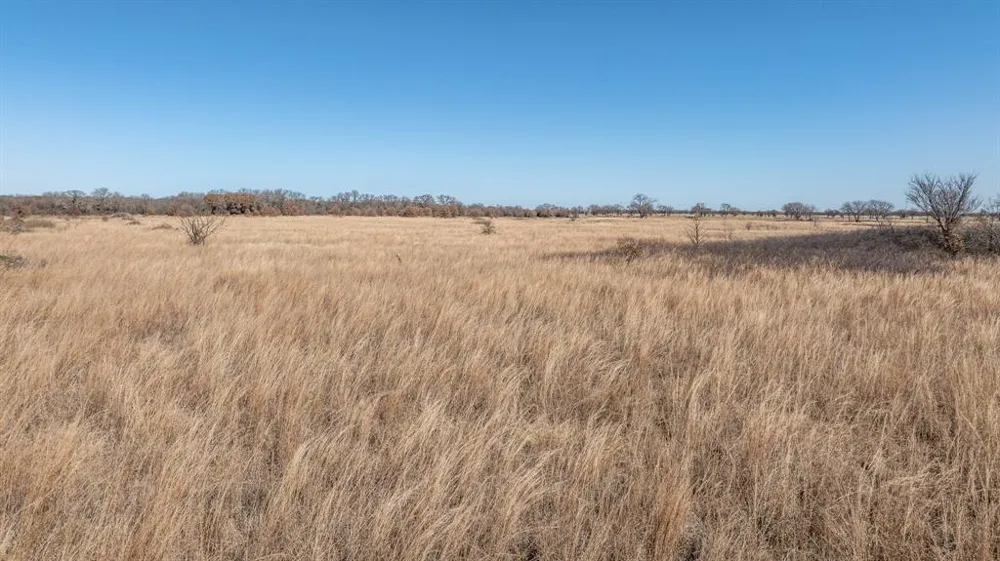 County Road 380 Rising Star, TX 76471