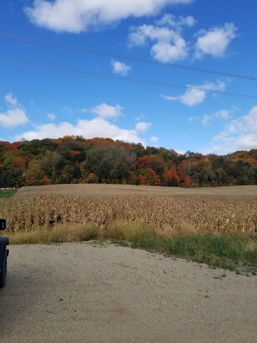 TBD Scenic Byway Road Henderson, MN 56044