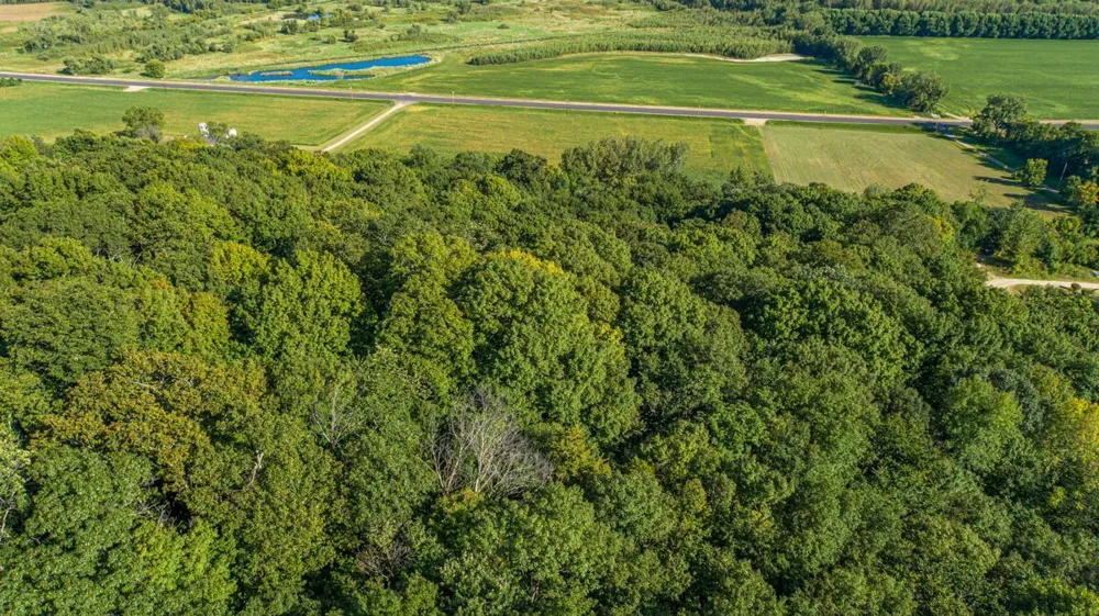 TBD Scenic Byway Road Henderson, MN 56044