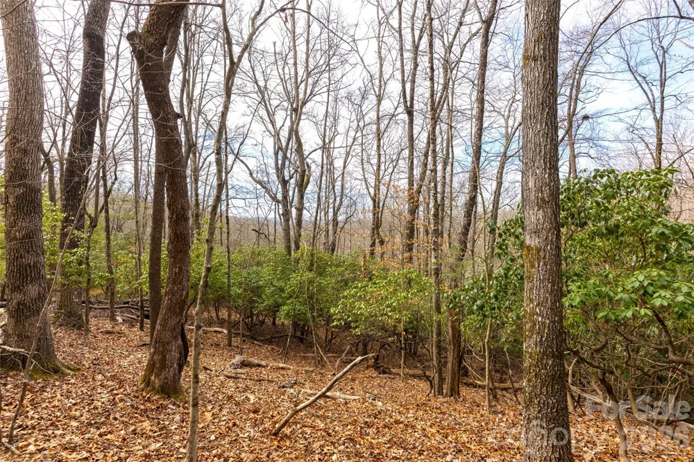 0 Aberdeen Lane Pisgah Forest, NC 28768