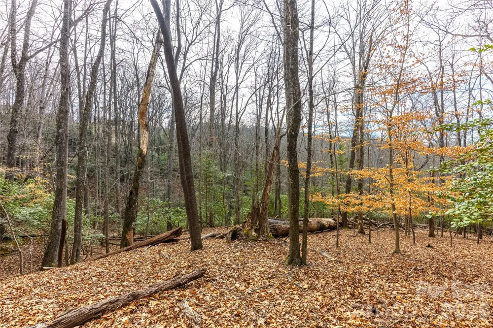 0 Aberdeen Lane Pisgah Forest, NC 28768