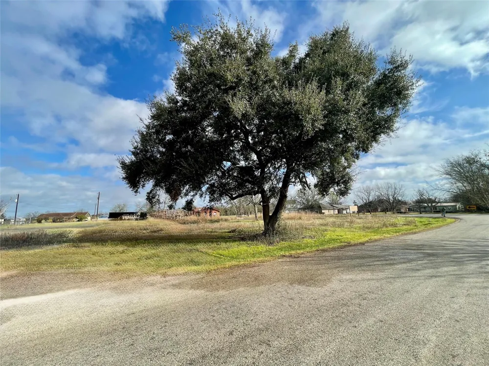 Chadwick Hogan Road Chappell Hill, TX 77426